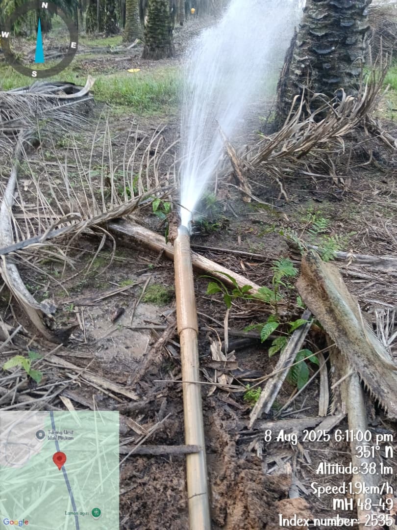 HDD drill rod emerging from ground in a forested area; no confirmed town in metadata.